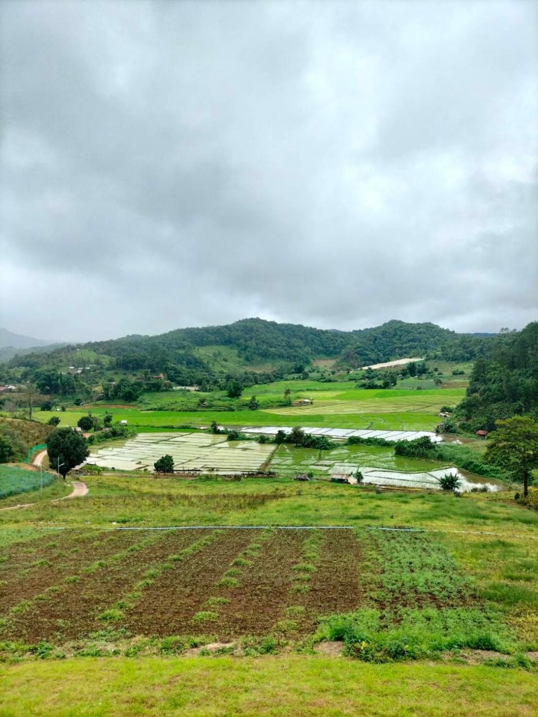 สวนไร่รุ่งอรุณ Suan Rai Rungarun Hotel Ban Na Pa Paek Bagian luar foto